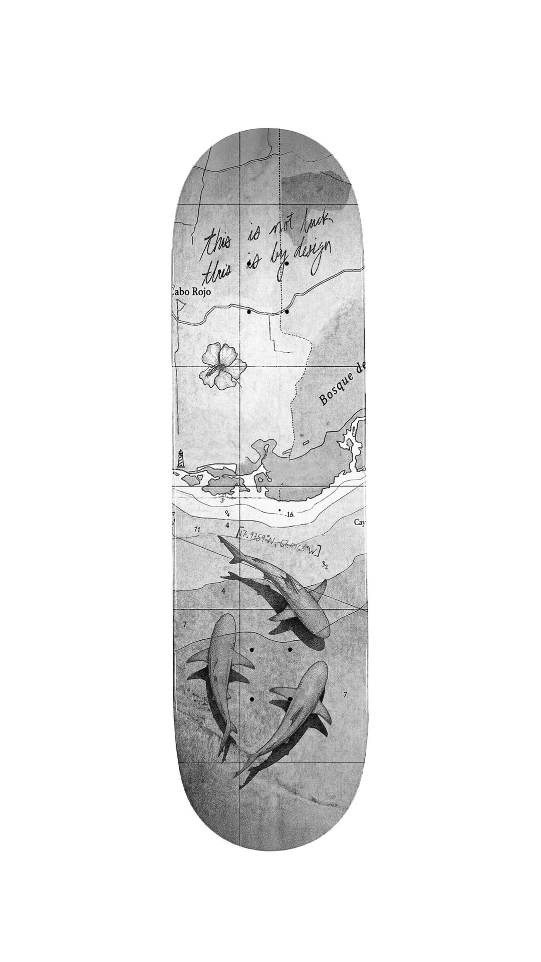 [Map 01] Skate Deck